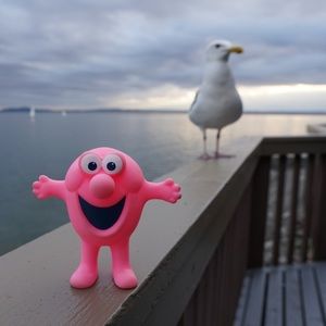 Meet your Posher, Kelley